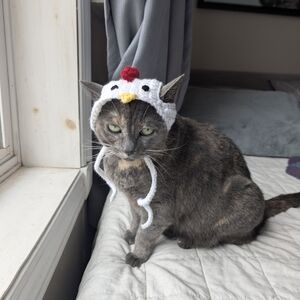 Chicken Hat for Cats - White and Red